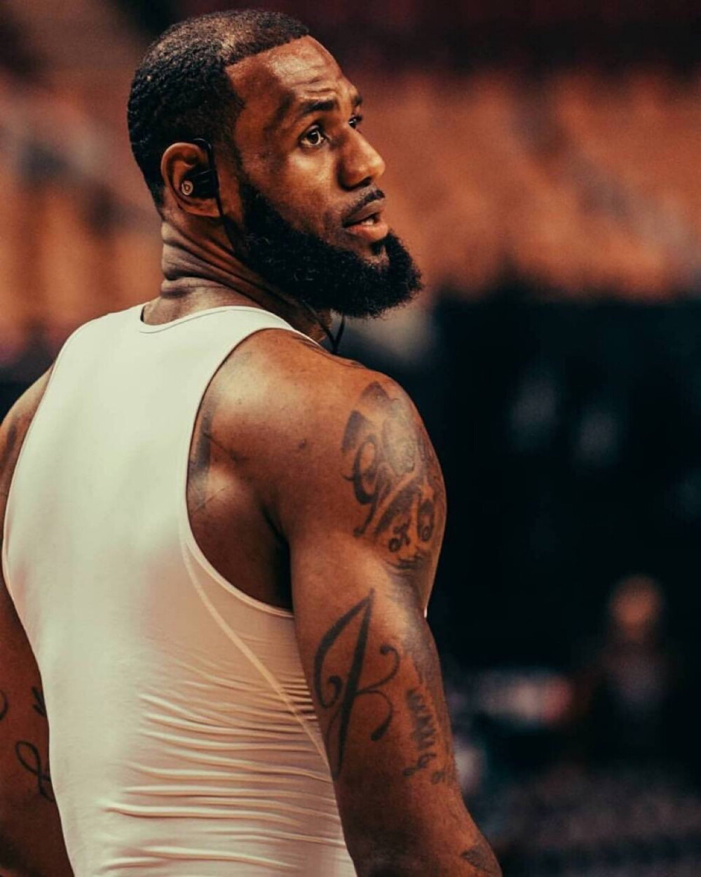 直接的终结 直接的终结